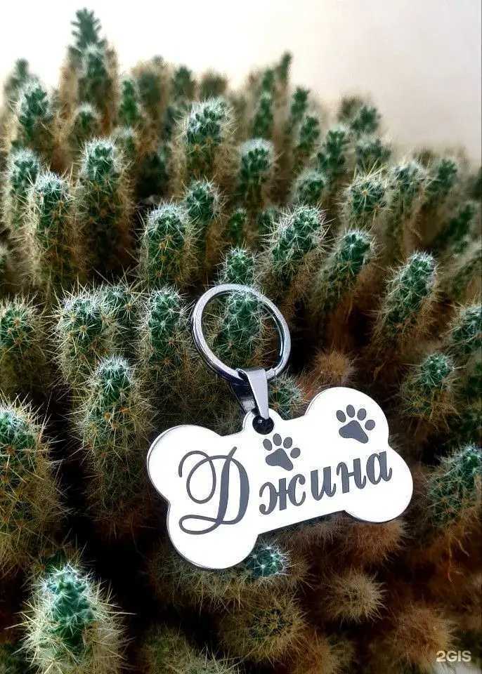 Отзывы на компанию SJTsk в г. Томск c фото