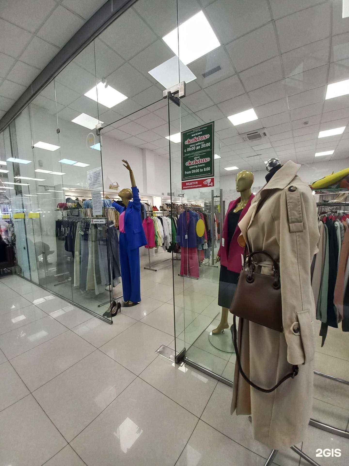 Отзывы на компанию Kaktus в Сочи c фото