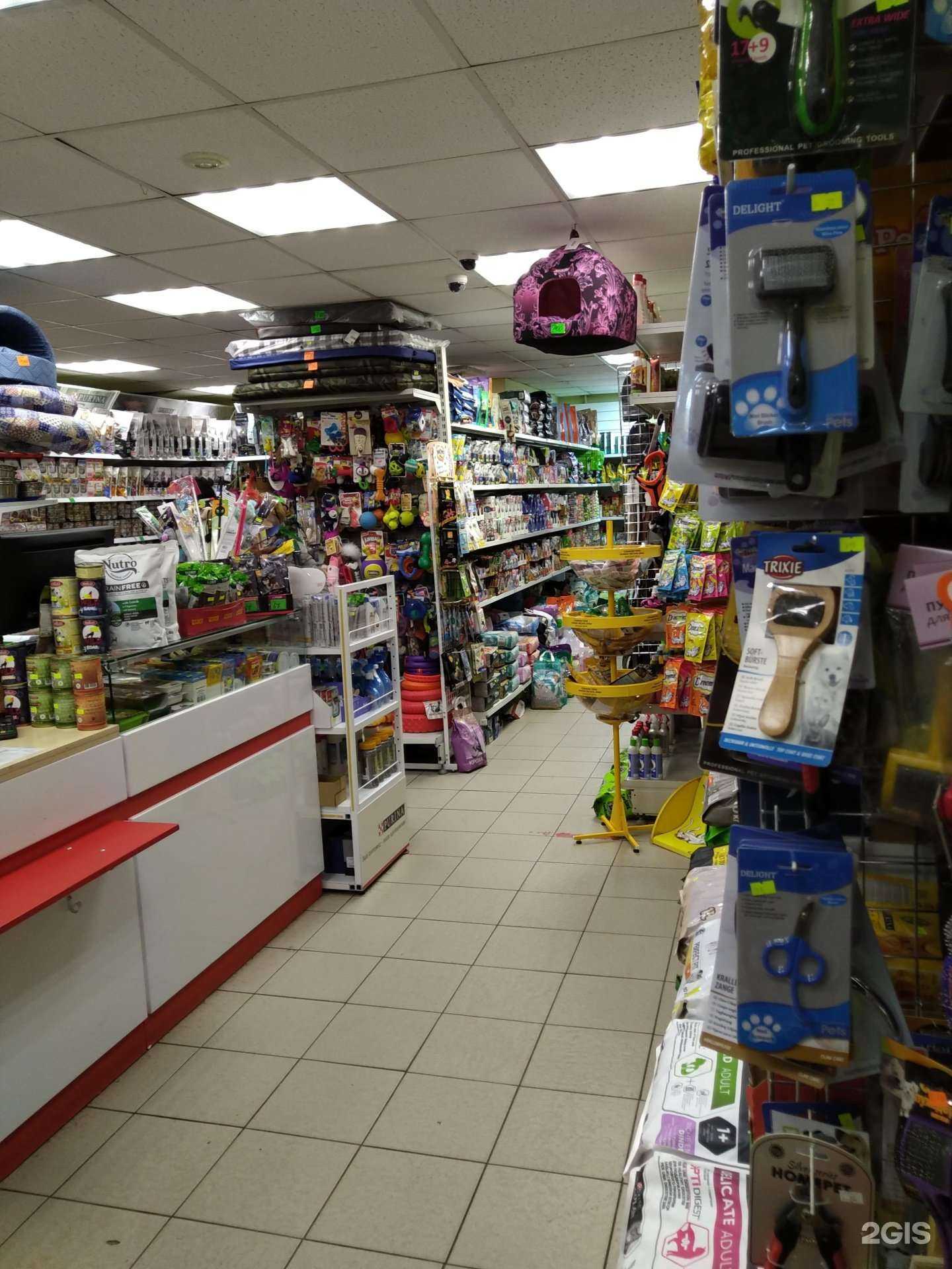 Отзывы на компанию Котопес в Жуковском c фото