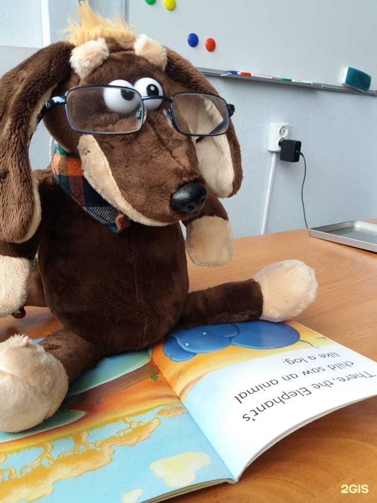 Отзывы на компанию AceLanguage в Новокузнецке c фото