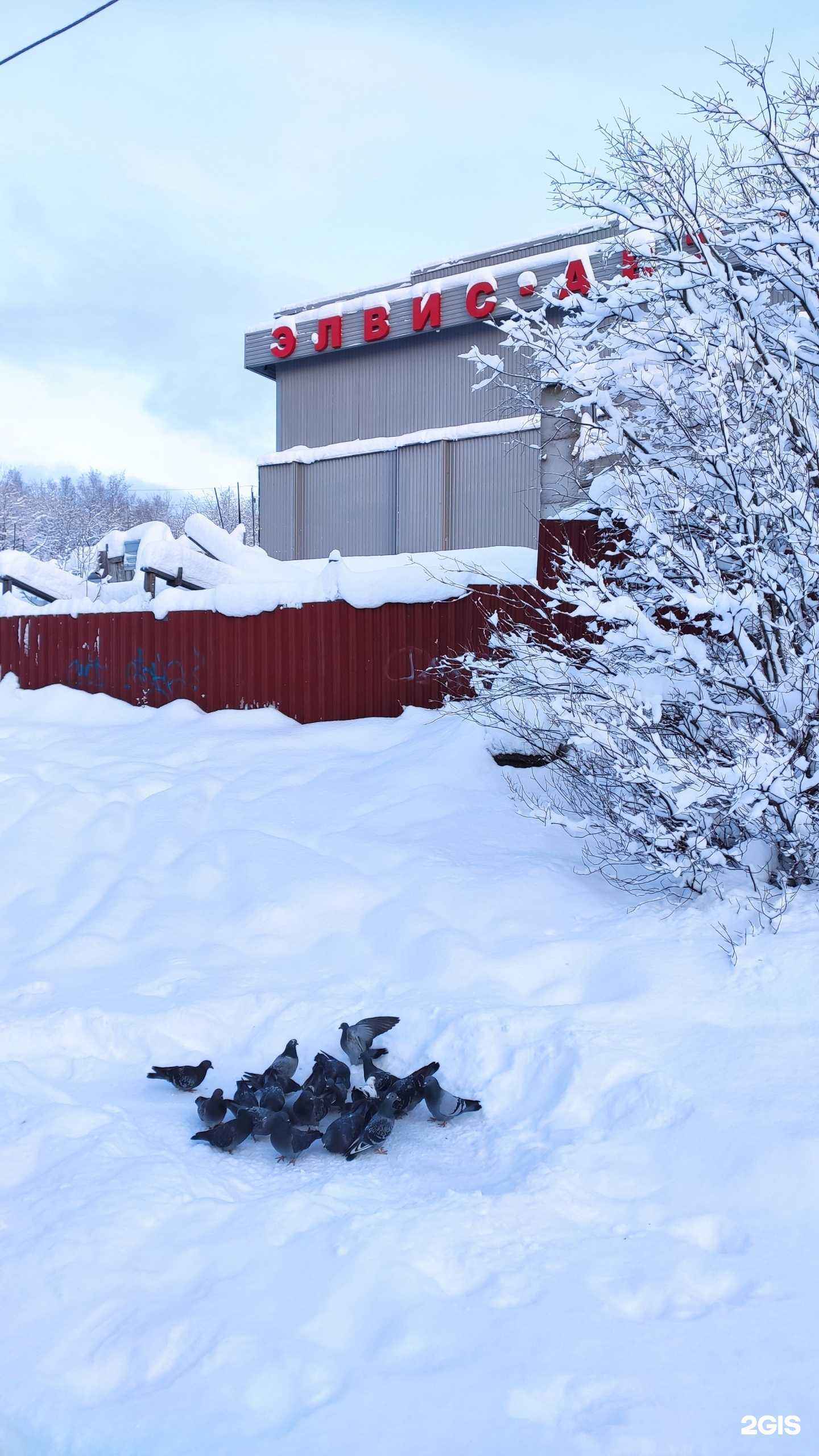 Отзывы на компанию Элвис-авто в Мурманске c фото