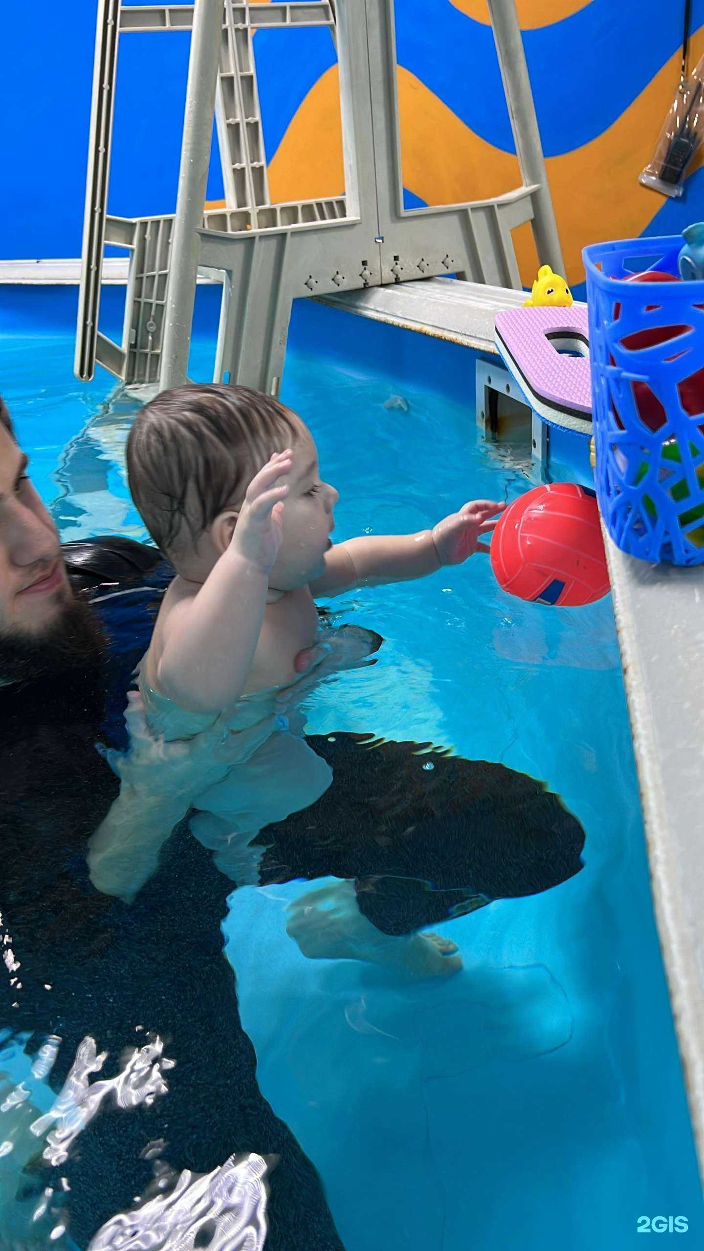 Отзывы на компанию Pool Day в г. Махачкала c фото