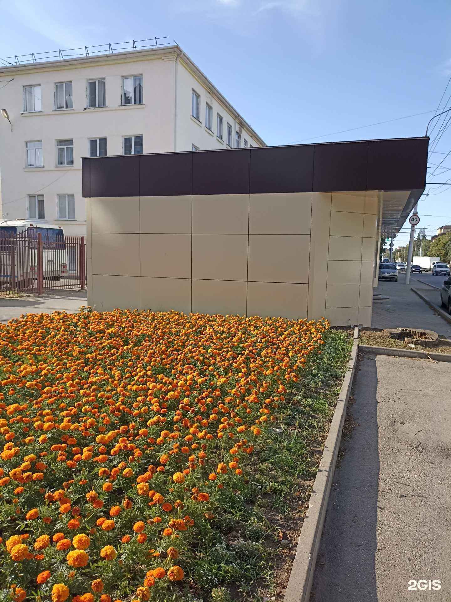 Отзывы на компанию Grand flora в г. Черкесск c фото