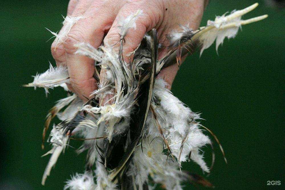 Отзывы на компанию ЕА Систем в г. Томск c фото