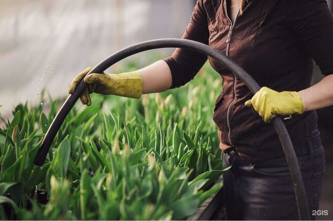 Отзывы на компанию Фито-флер в Ангарске c фото