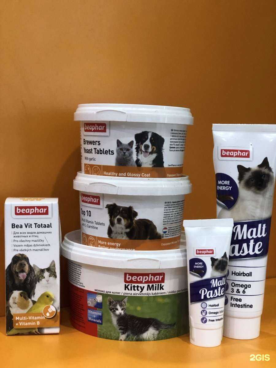 Отзывы на компанию Дружок в Красноярске c фото