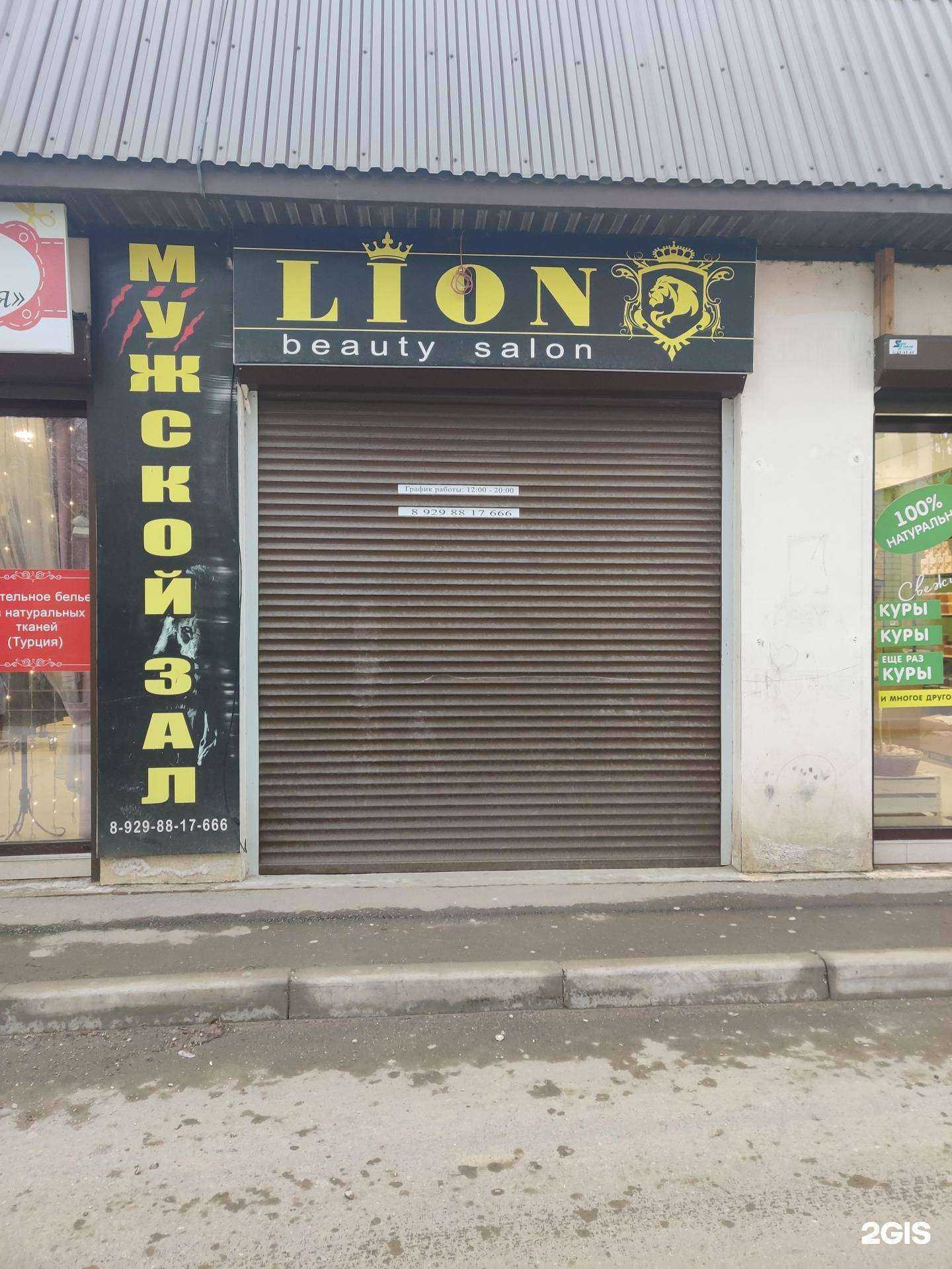 Отзывы на компанию Lion в Махачкале c фото