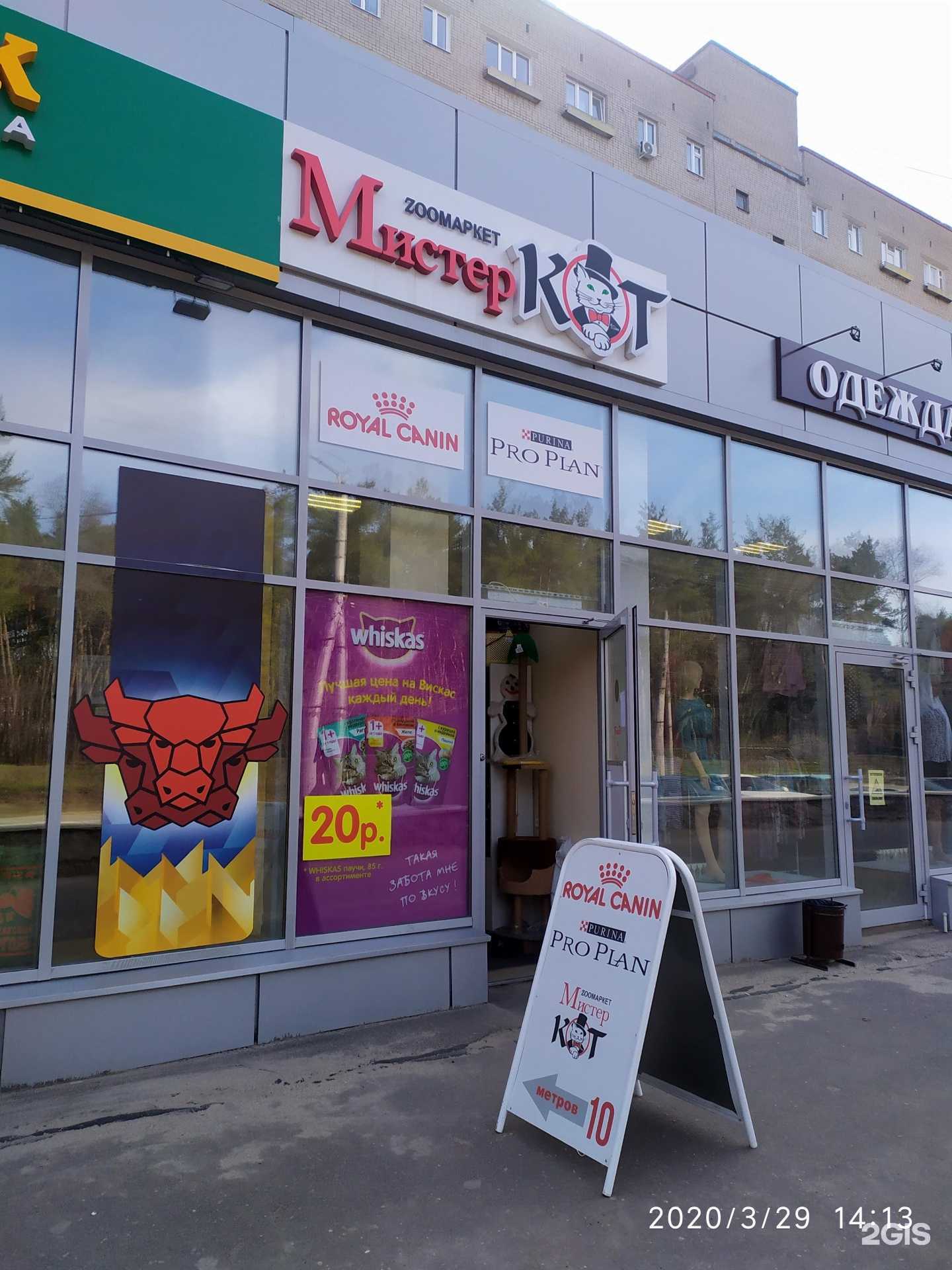 Отзывы на компанию Мистер Кот в г. Воронеж c фото