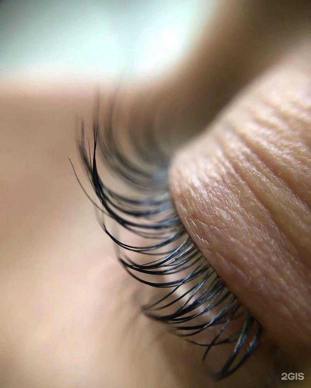 Отзывы на компанию Лиса в Нижневартовске c фото