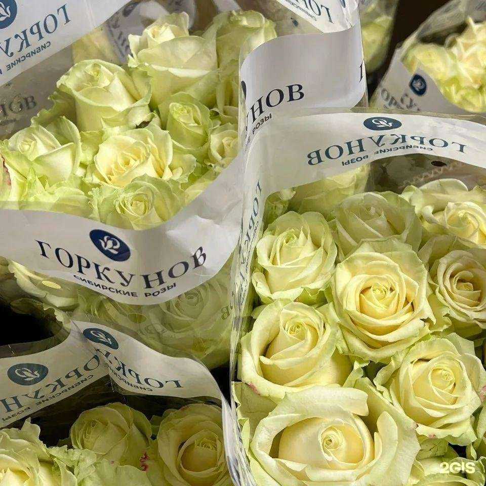 Отзывы на компанию ЭйфLория в г. Фокино c фото