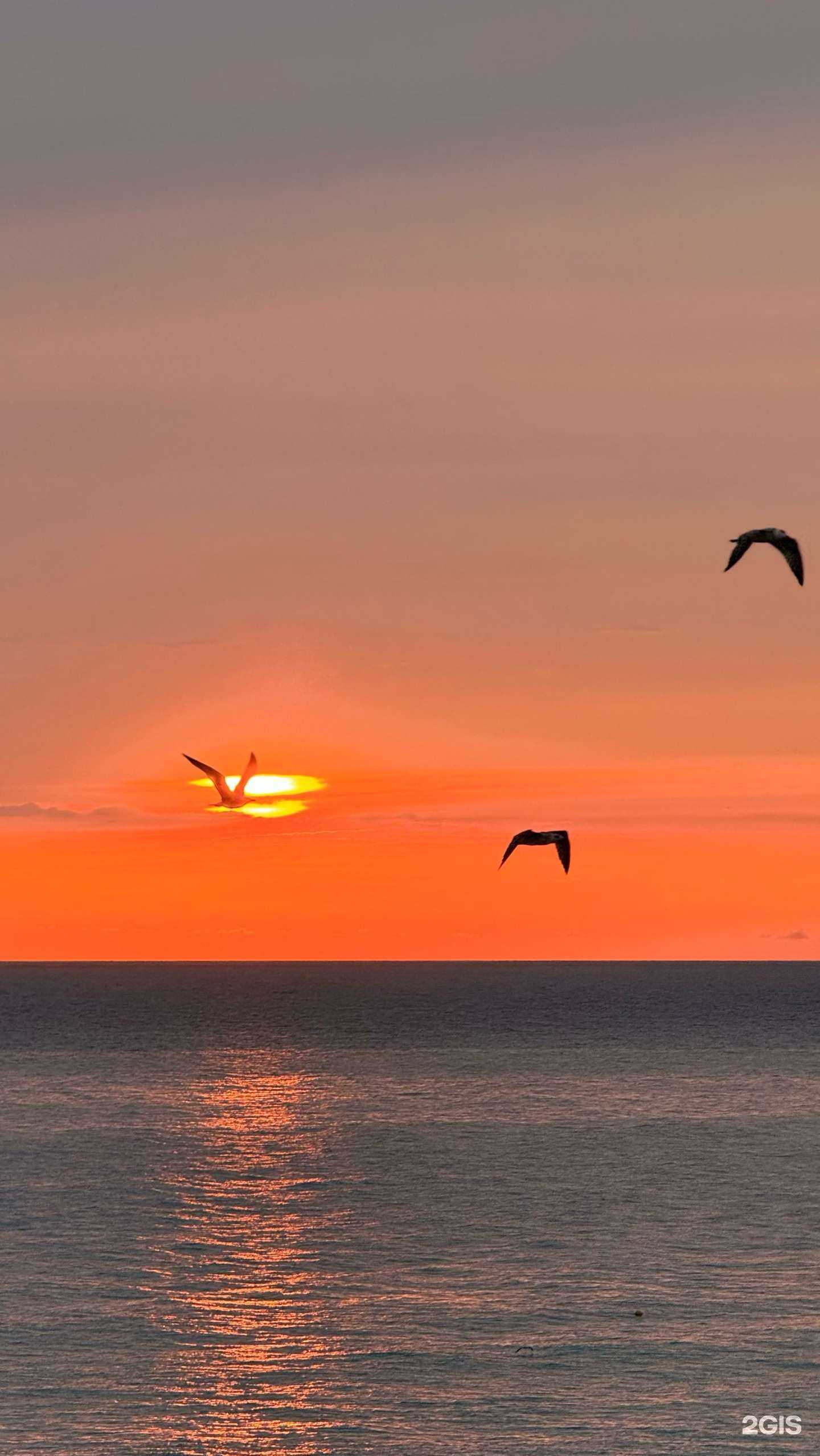 Отзывы на компанию На уровне моря by Мидийное место в Сочи c фото