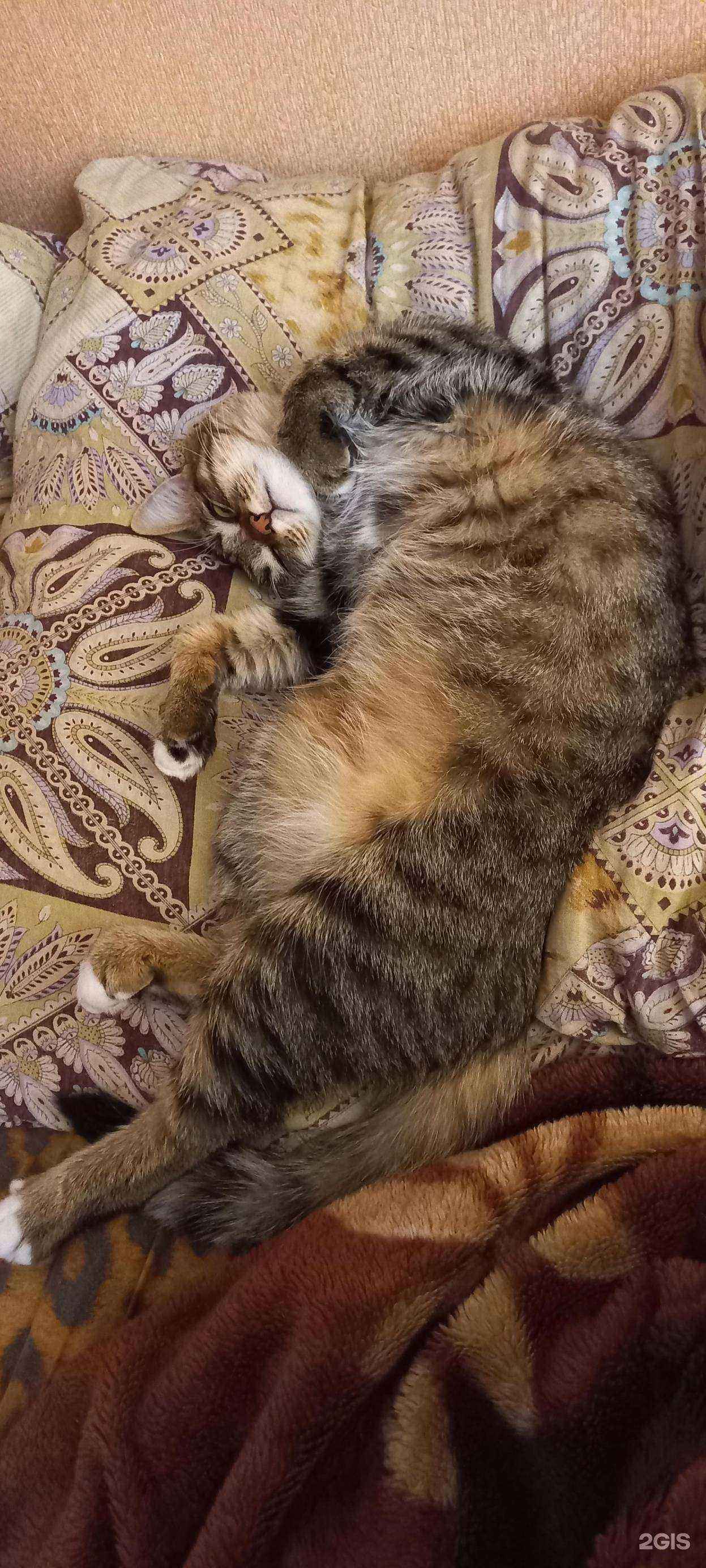 Отзывы на компанию ЗооДисконт в г. Иркутск c фото