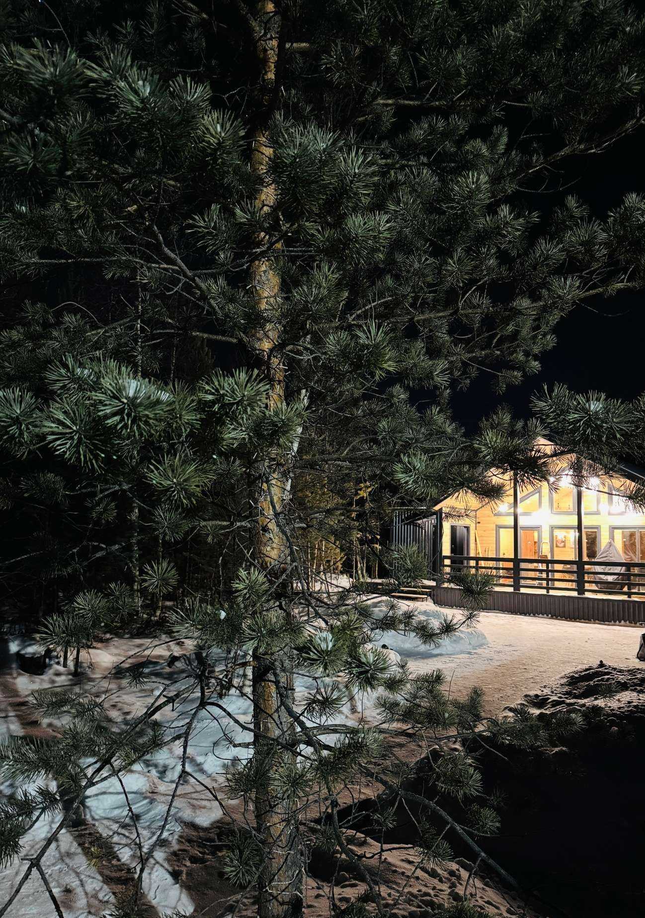 Отзывы на компанию В Соснах  в г. Сургут c фото