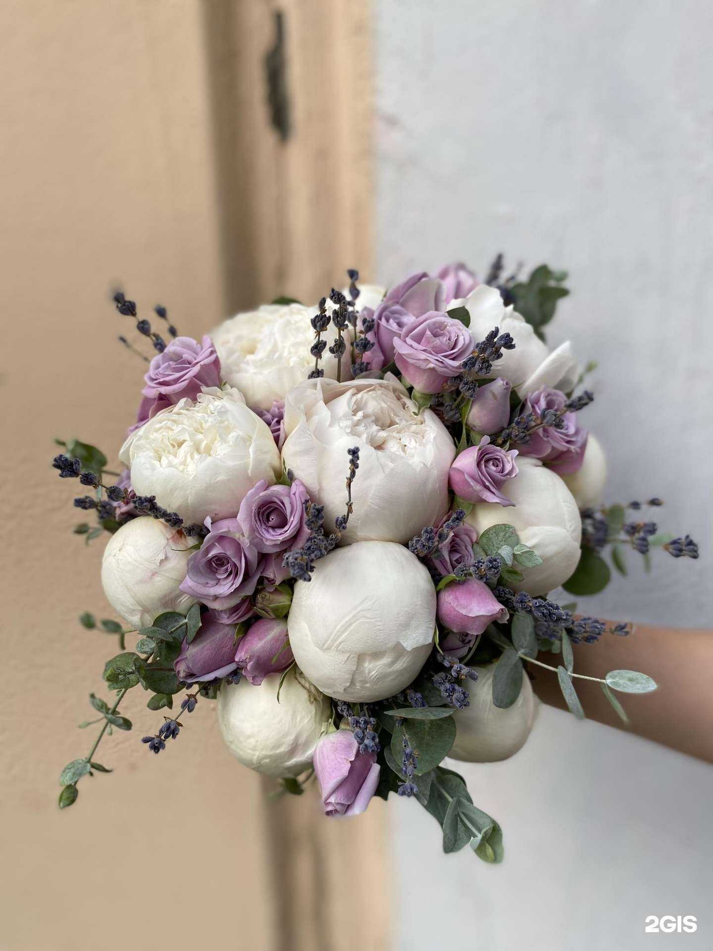 Отзывы на компанию Протея в Бийске c фото