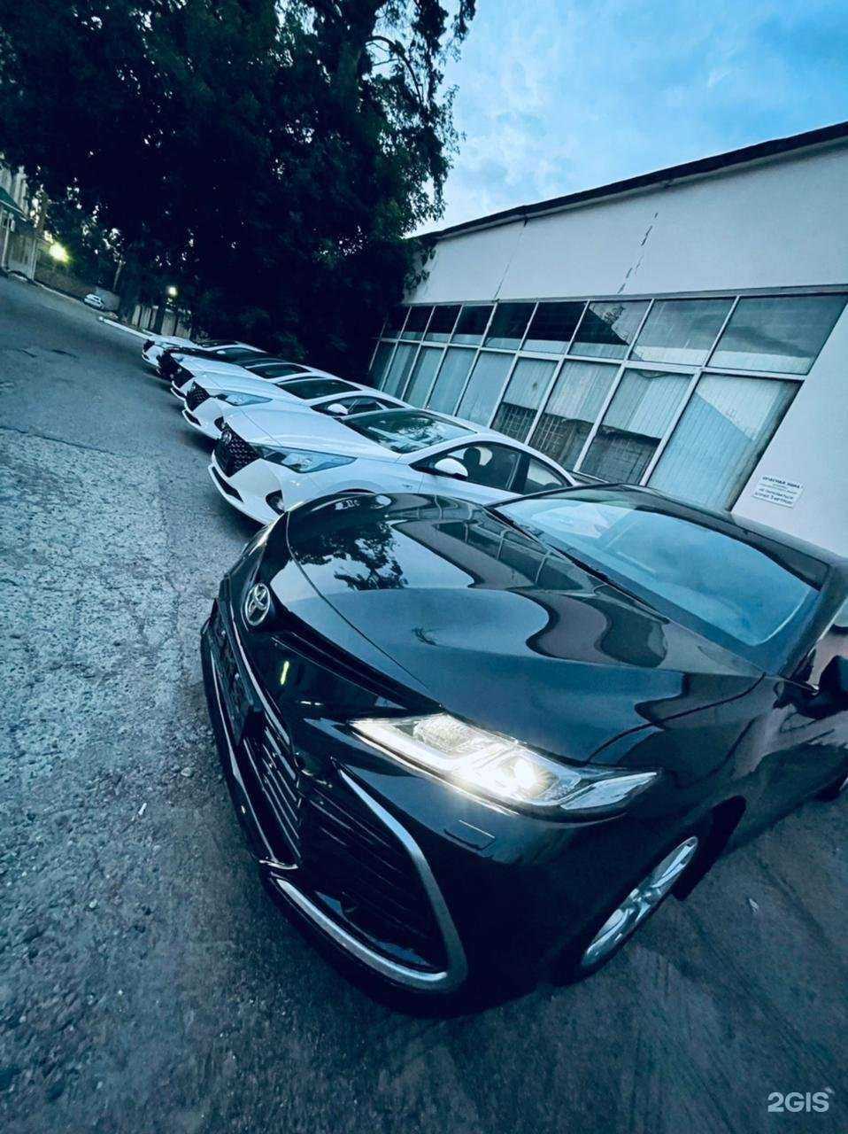 Отзывы на компанию White-auto в г. Казань c фото