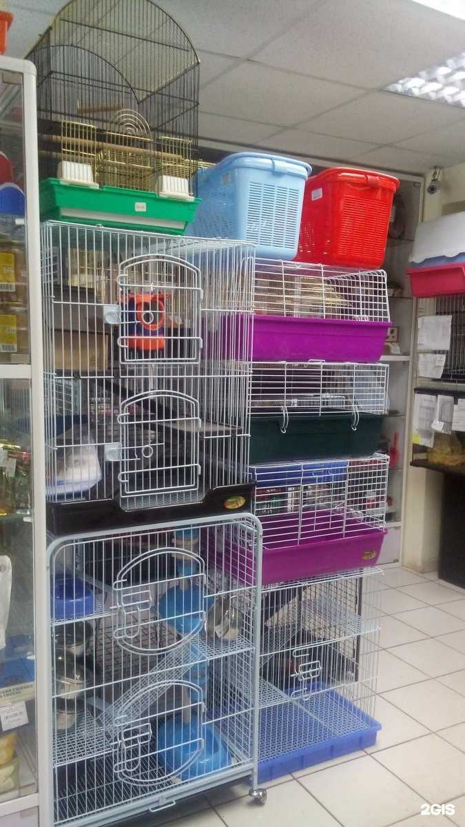 Отзывы на компанию Какаду в Комсомольске-на-Амуре c фото