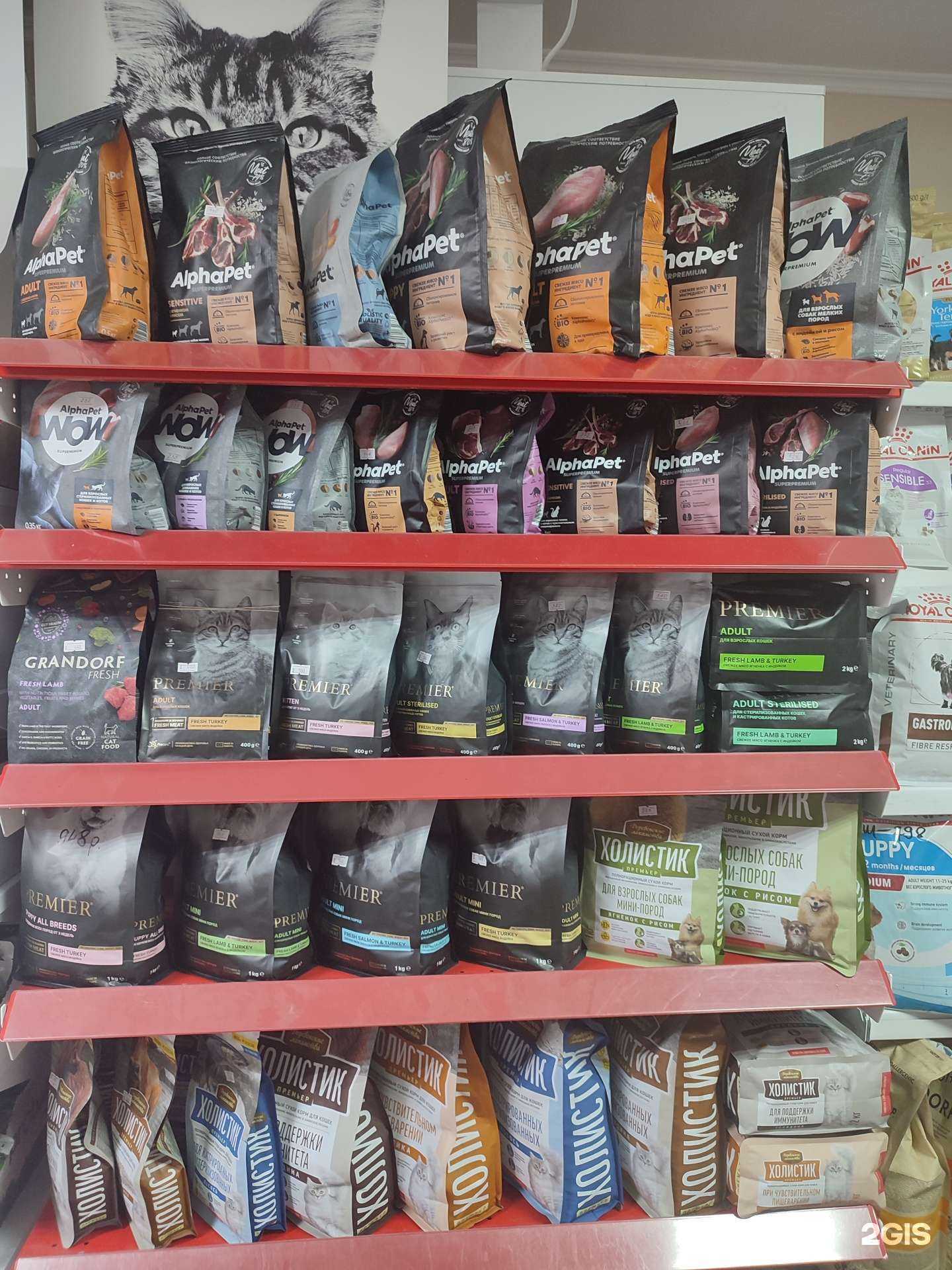 Отзывы на компанию Кото-пес в Краснодаре c фото