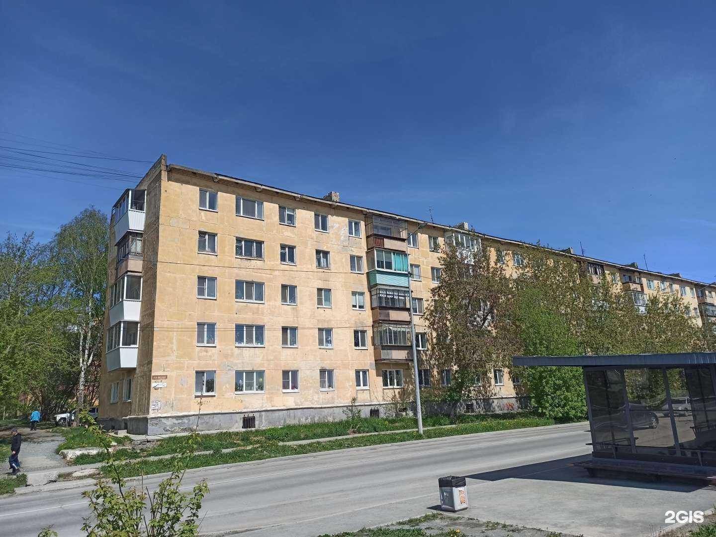 Отзывы на компанию Зоополис в Полевское c фото