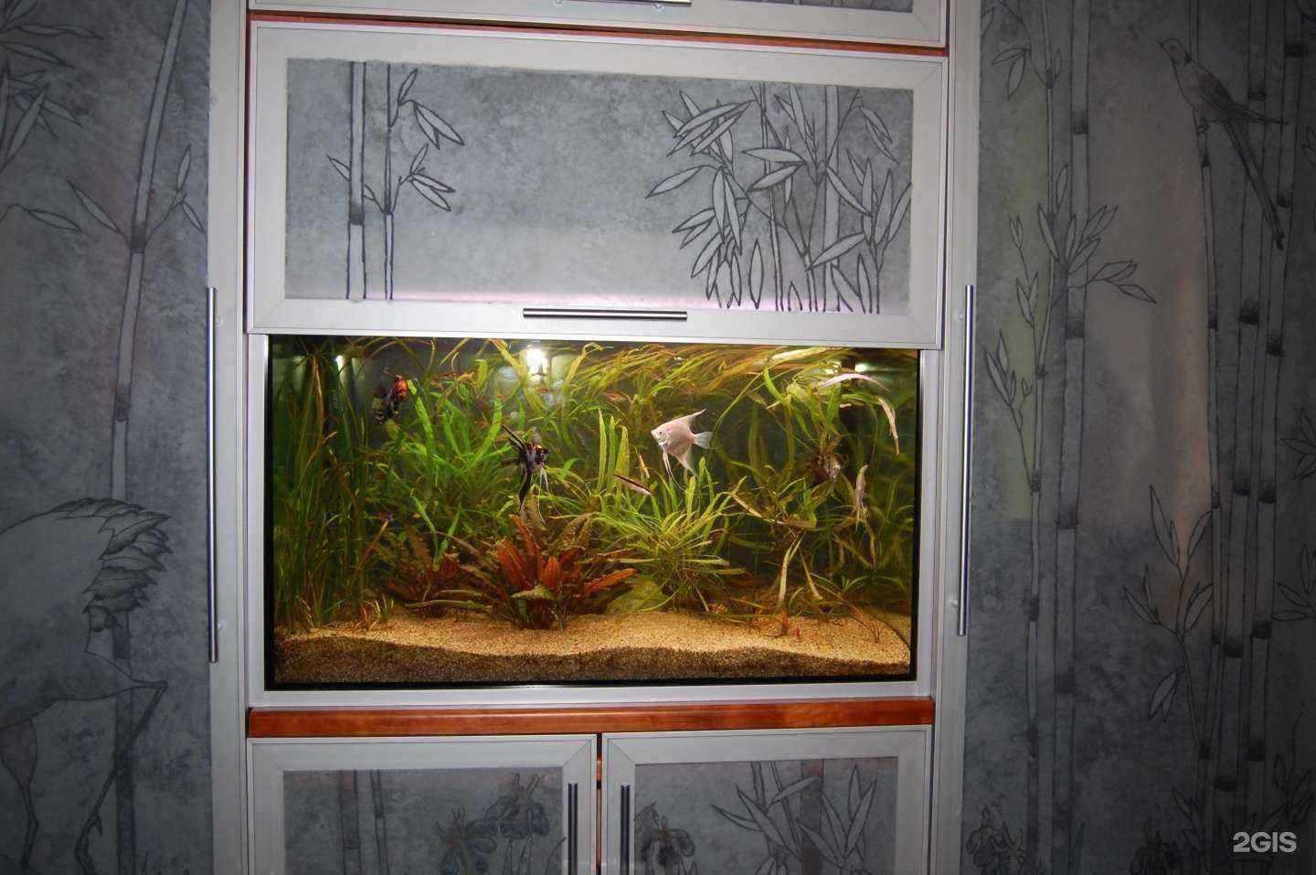 Отзывы на компанию Аква фантастик в г. Королёв c фото