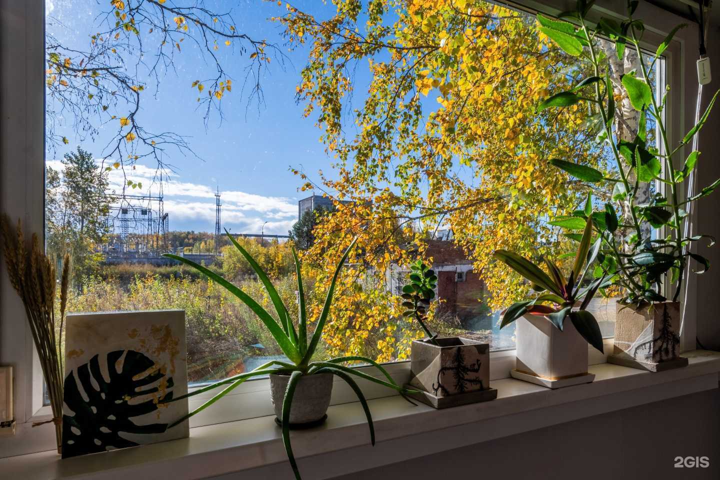 Отзывы на компанию Инди в Новосибирске c фото