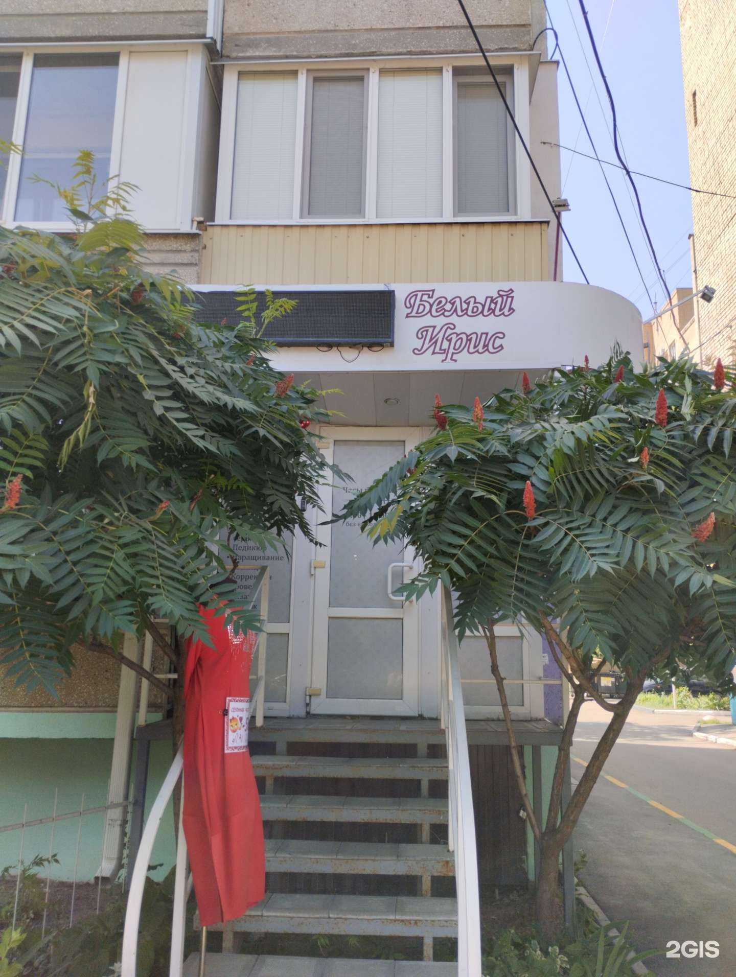 Отзывы на компанию Белый ирис в Энгельсе c фото