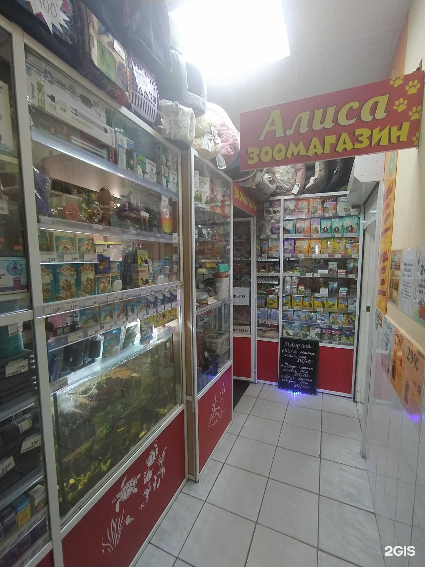 Отзывы на компанию Алиса в Омске c фото