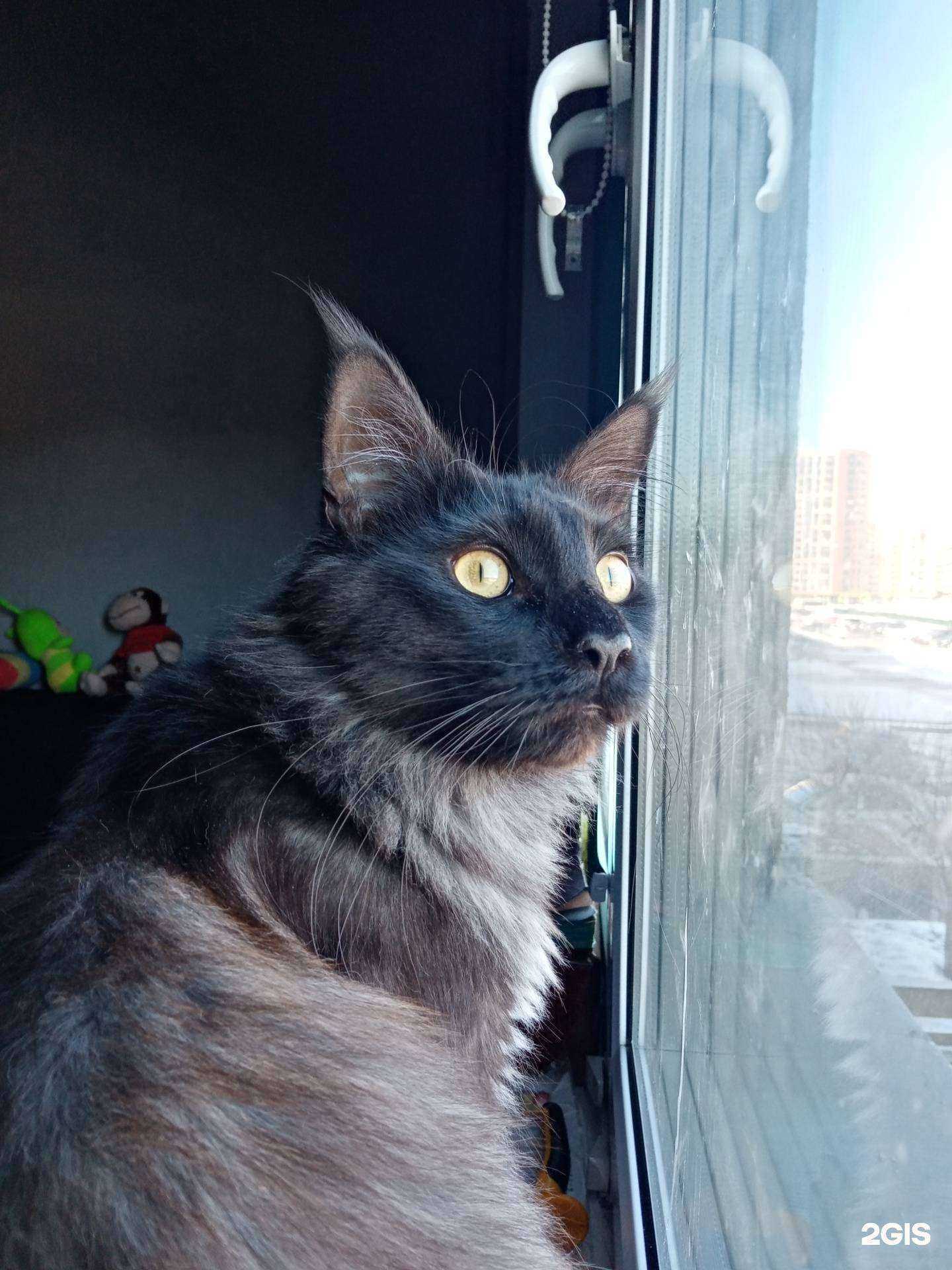 Отзывы на компанию ЭкзоВет в г. Тюмень c фото