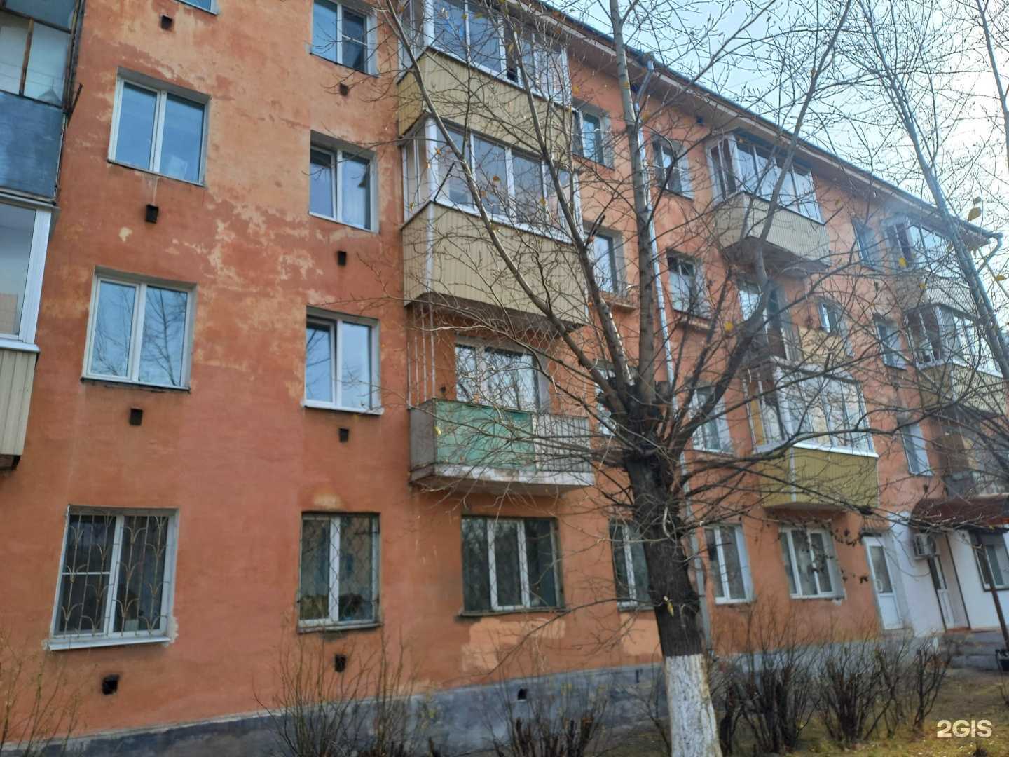 Отзывы на компанию Ель в Улан-Удэ c фото - фотография 2 из 2