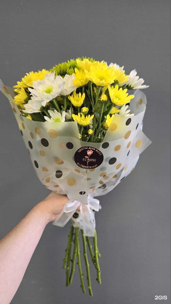 Отзывы на компанию El`Rose в г. Владивосток c фото