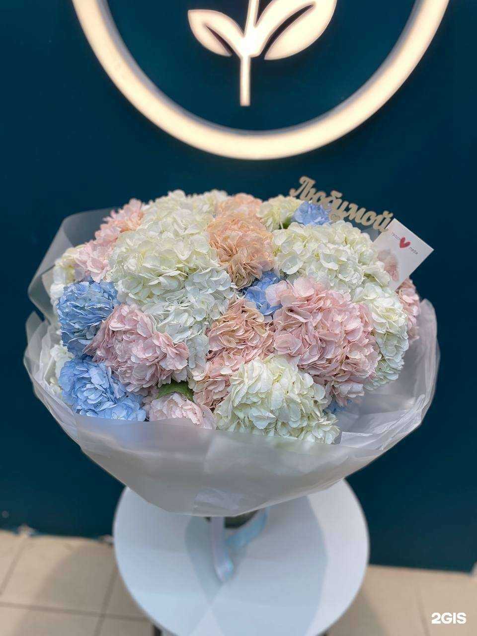 Отзывы на компанию Цветочная база в г. Архангельск c фото