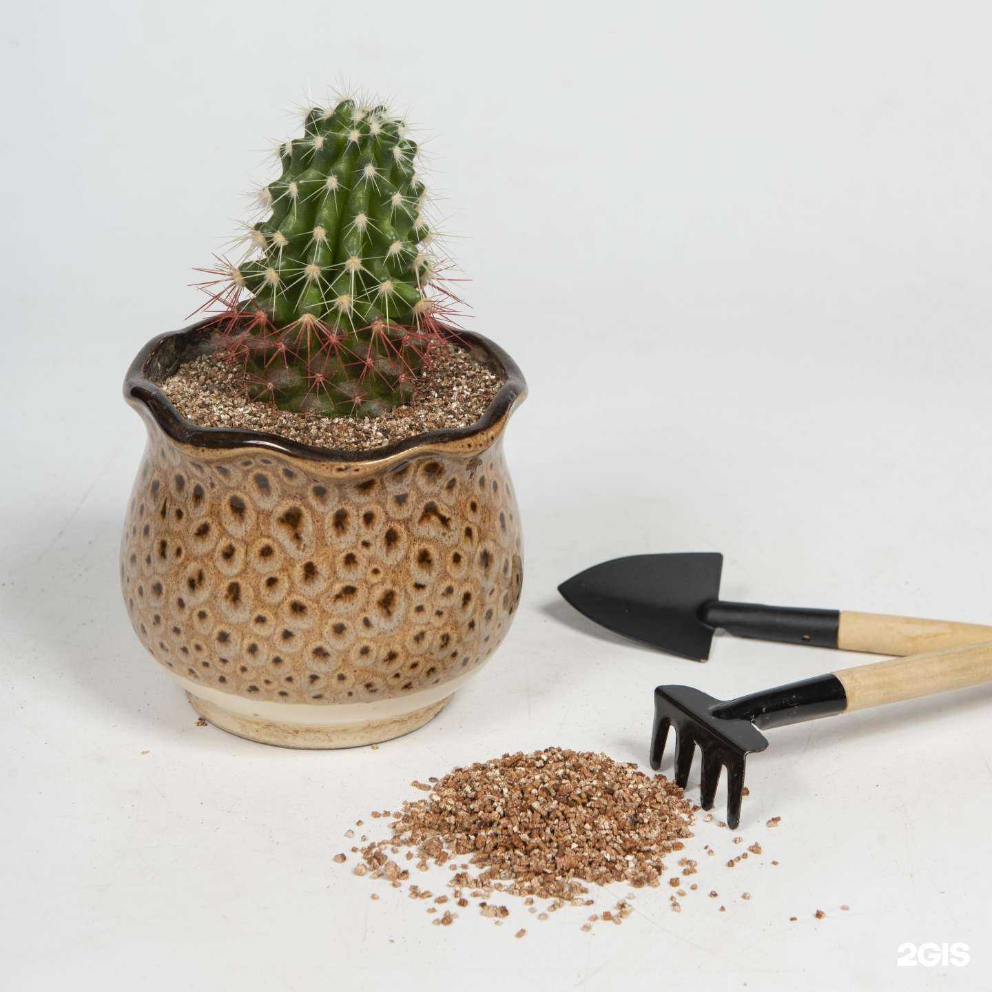 Отзывы на компанию Аурус в Иркутске c фото