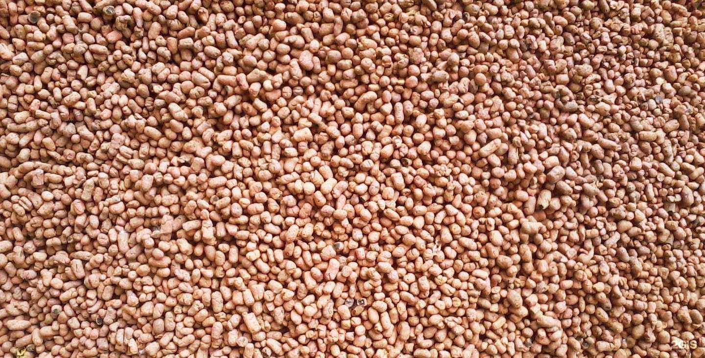 Отзывы на компанию Автосоюз 70 в Томске c фото