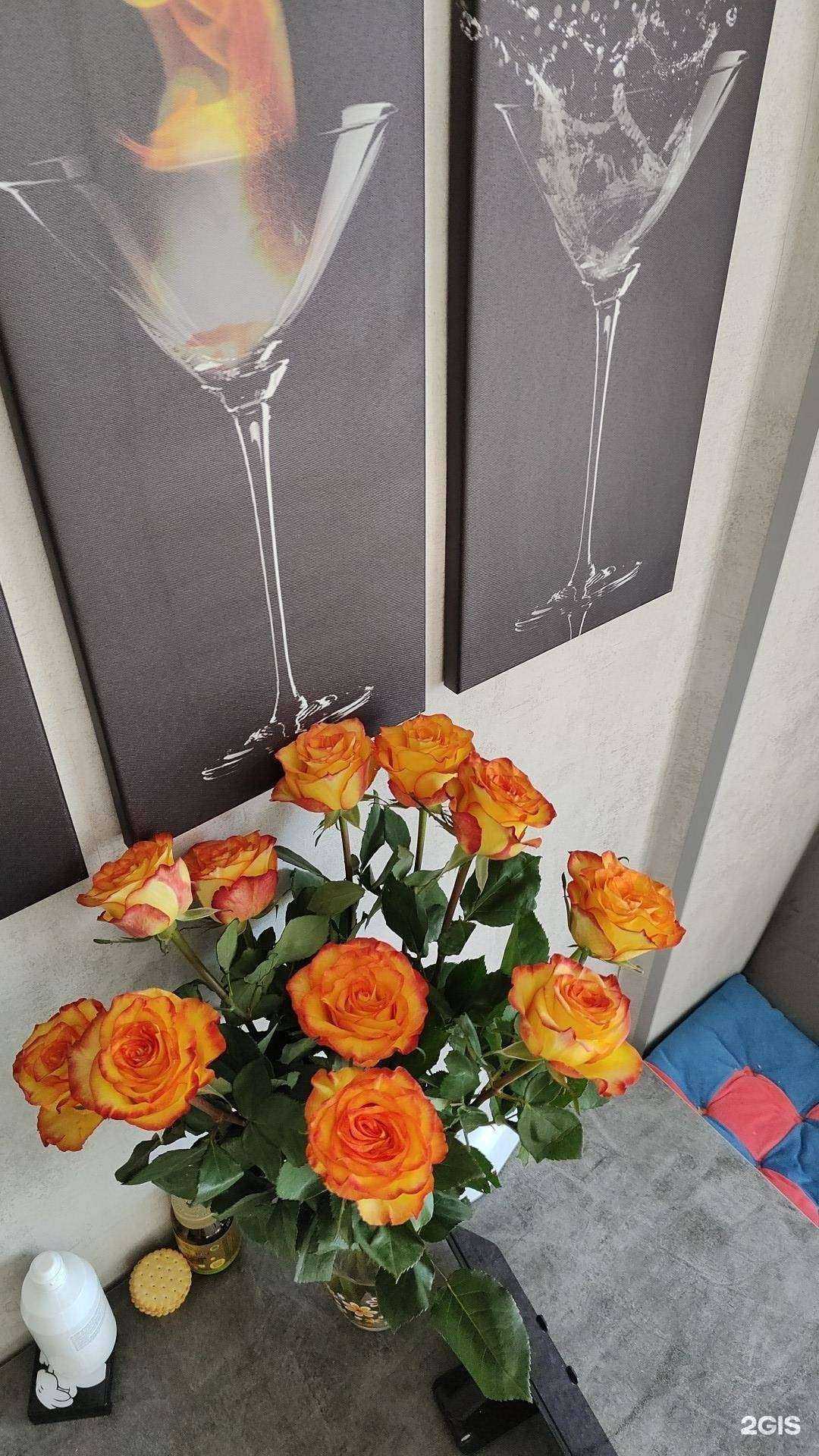 Отзывы на компанию Квин Роз в Хабаровске c фото