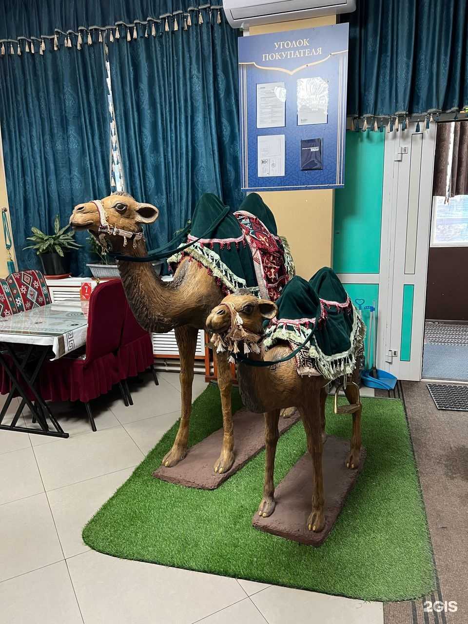 Отзывы на компанию Центр плов в Якутске c фото