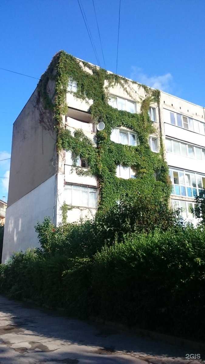 Отзывы на компанию Арс Медика в Калининграде c фото - фотография 2 из 2