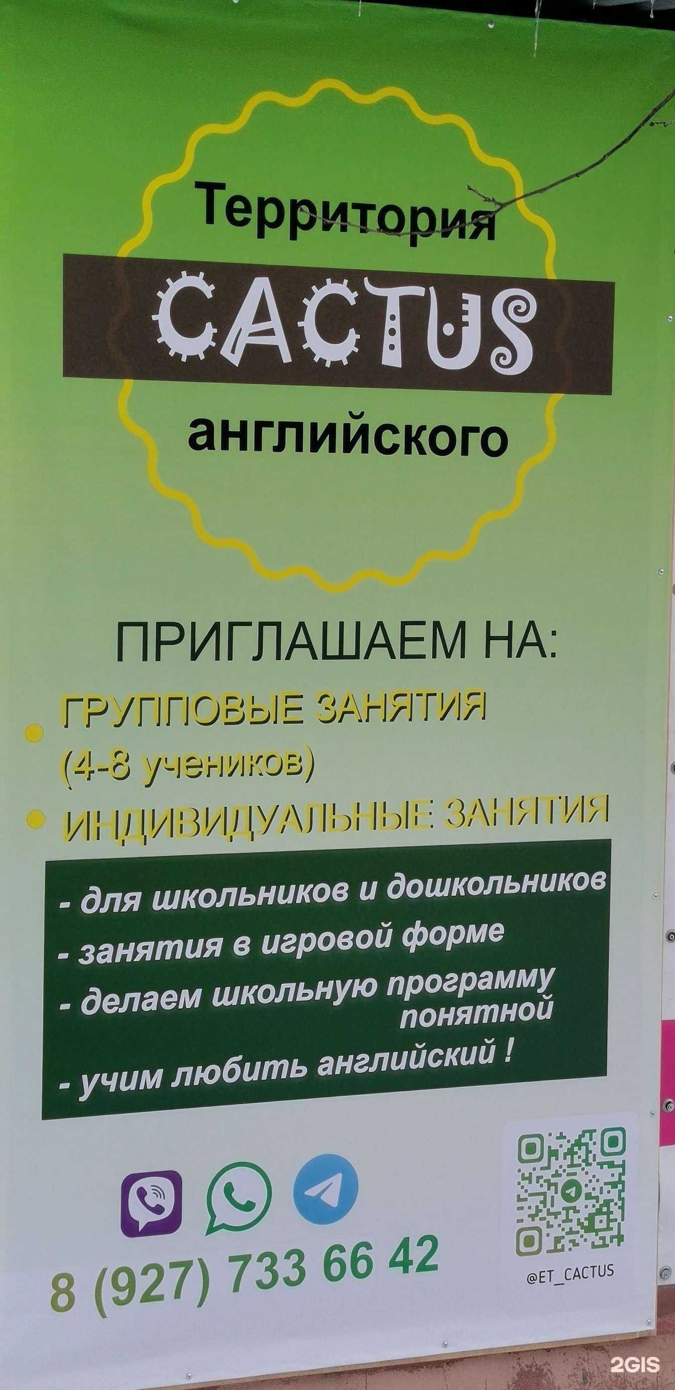 Отзывы на компанию Cactus в г. Самара c фото