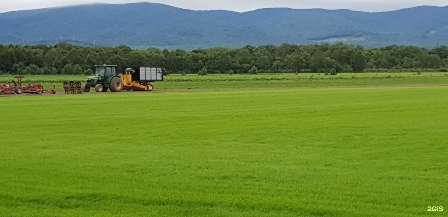 Отзывы на компанию Овощевод в г. Артём c фото