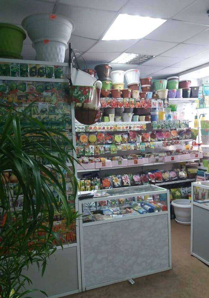 Отзывы на компанию Семена Чита в Чите c фото