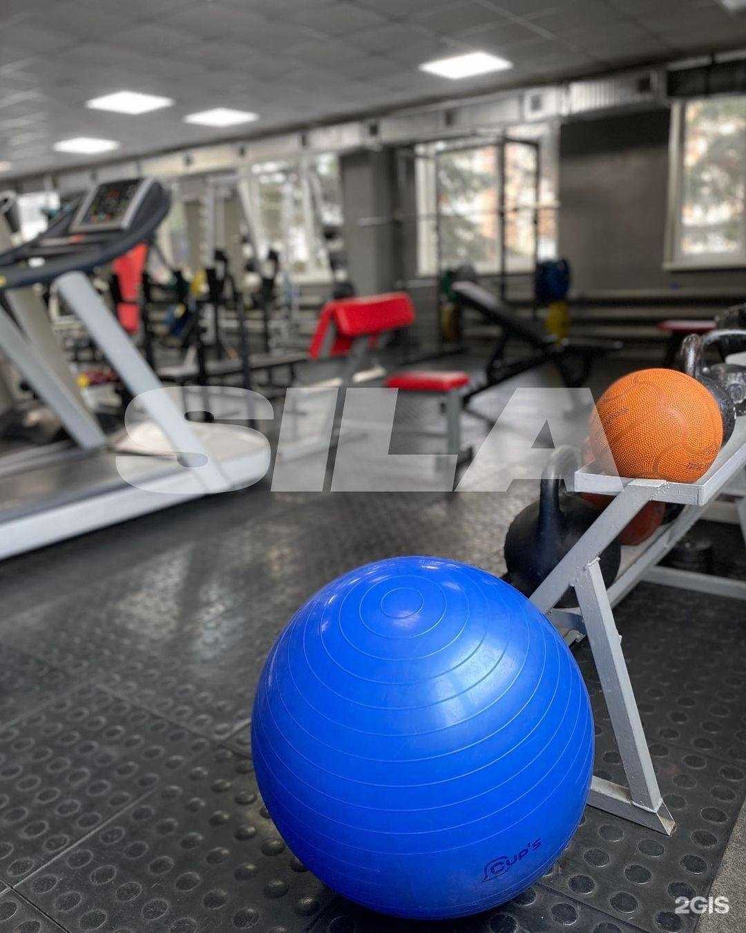 Отзывы на компанию Sila в г. Ростов-на-Дону c фото