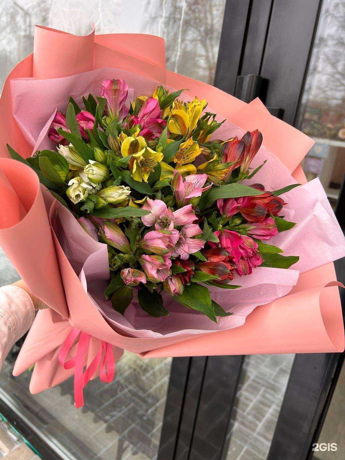 Отзывы на компанию Астильба в г. Набережные Челны c фото