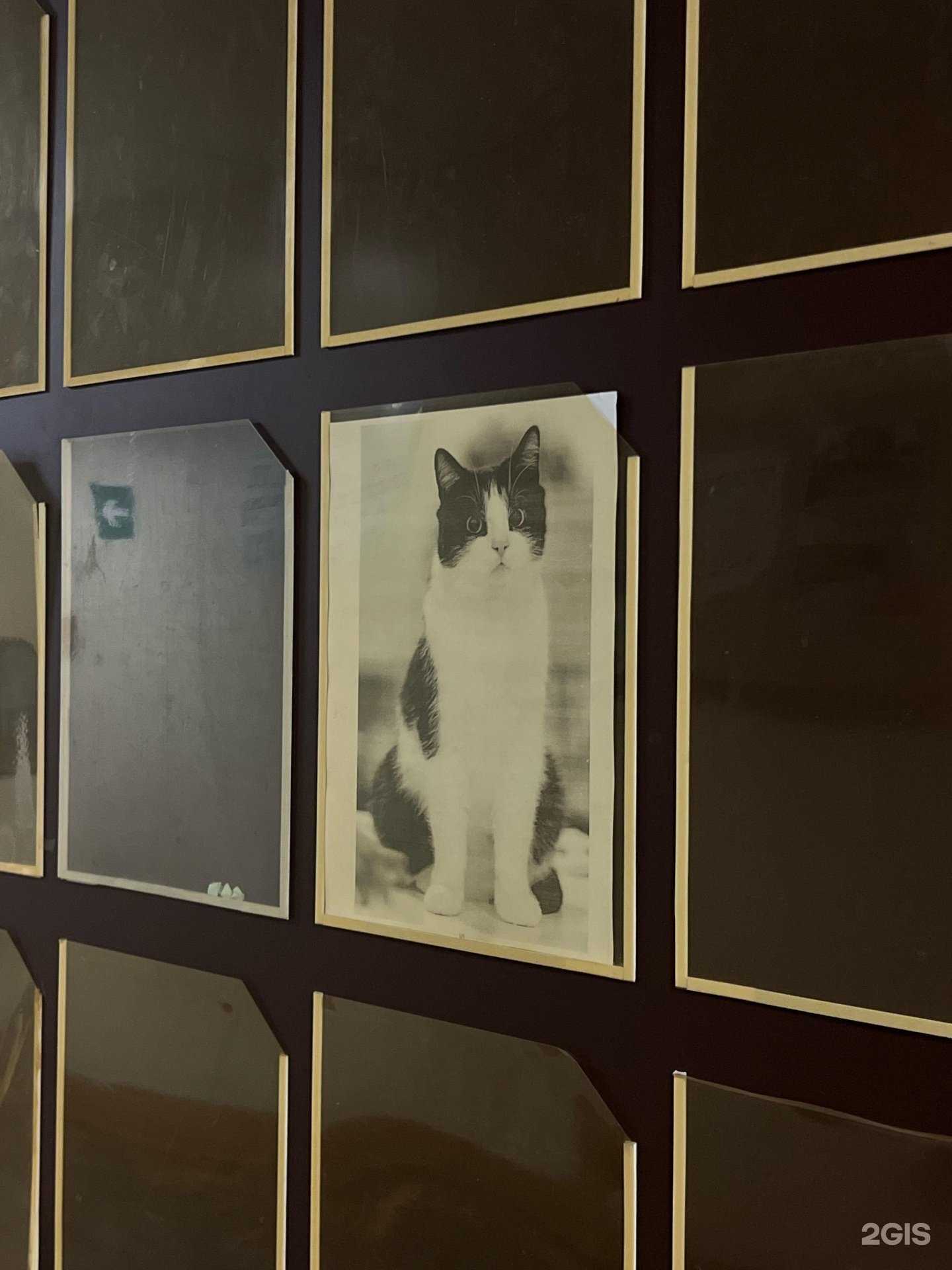 Отзывы на компанию Аптечка в Самаре c фото