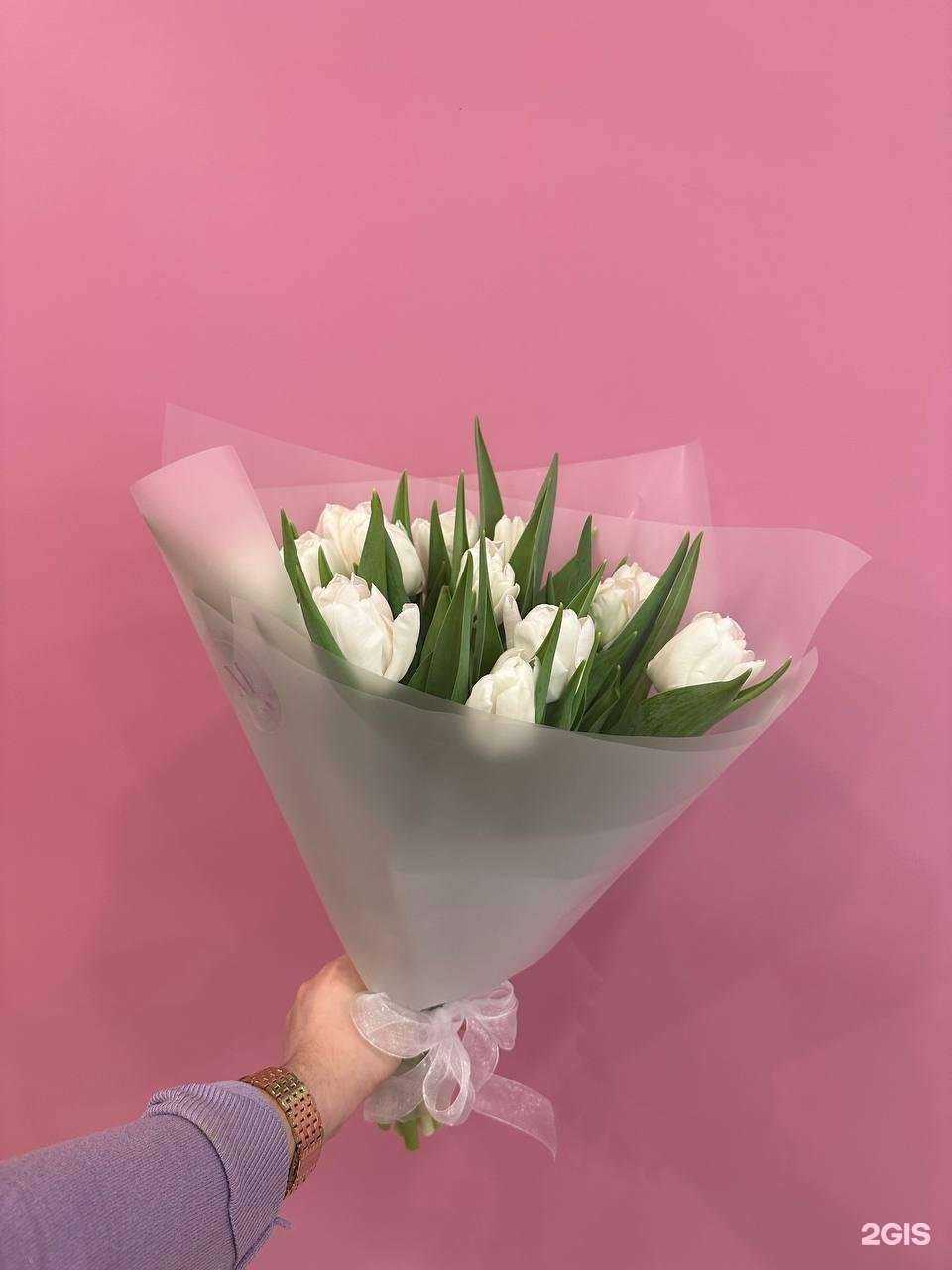 Отзывы на компанию Мальва в г. Омск c фото