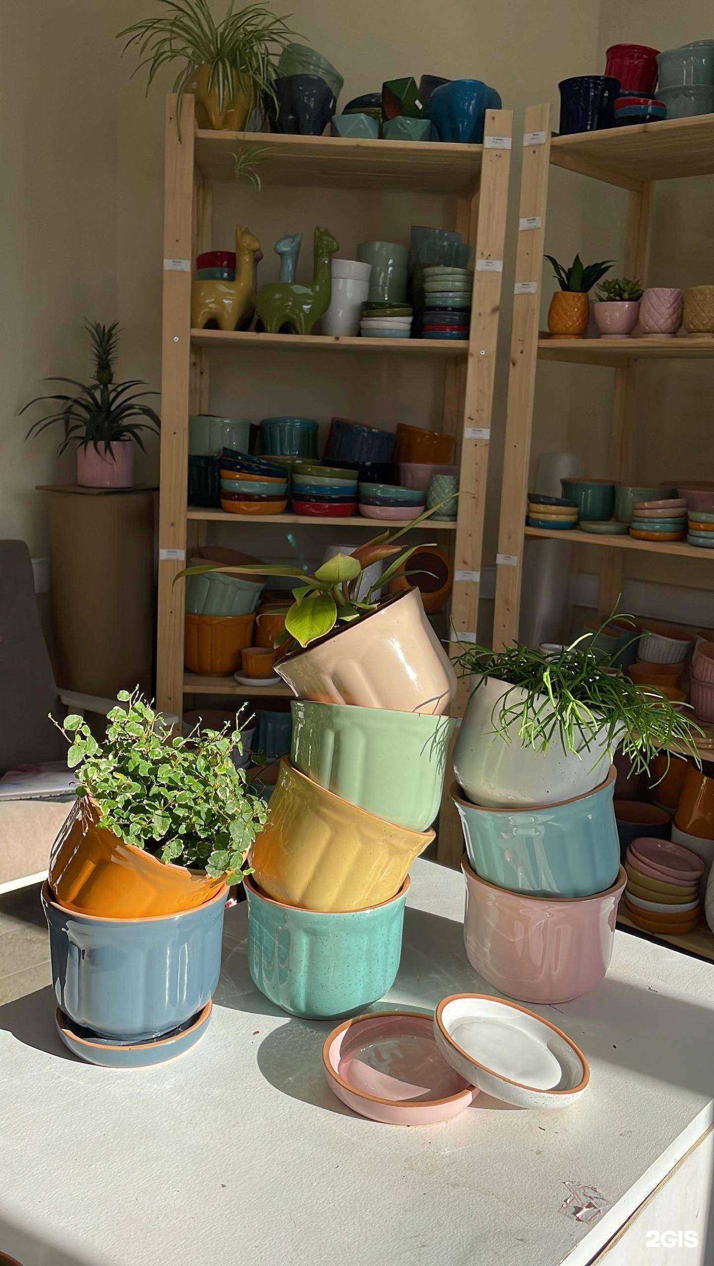 Отзывы на компанию Liveflower в Рязани c фото