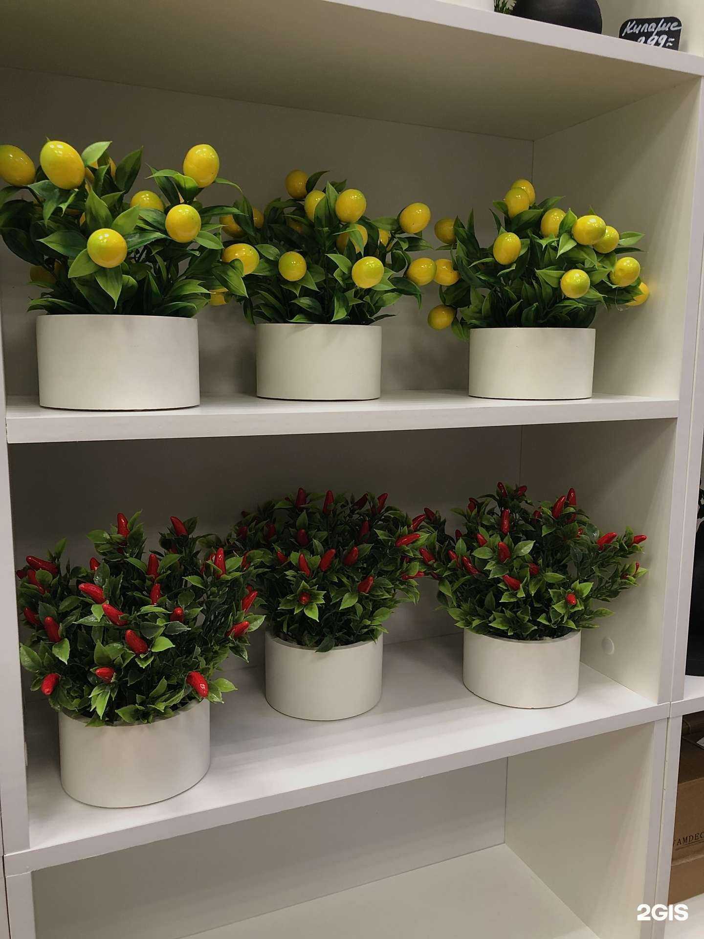 Отзывы на компанию VamDecor в г. Сыктывкар c фото