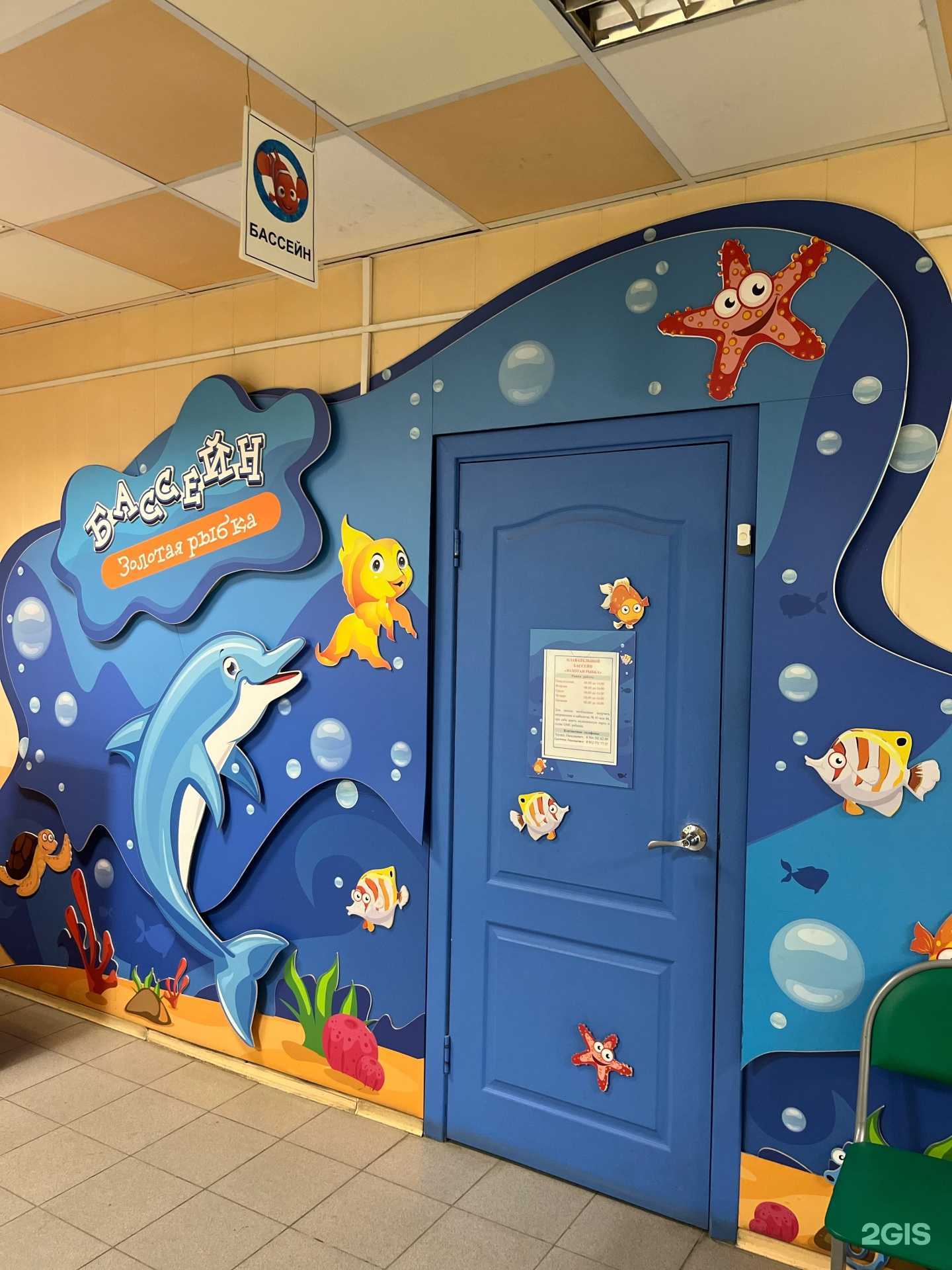 Отзывы на компанию Золотая рыбка в г. Челябинск c фото