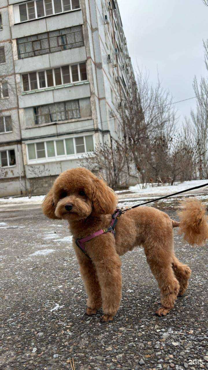 Отзывы на компанию Zefir в Волжском c фото