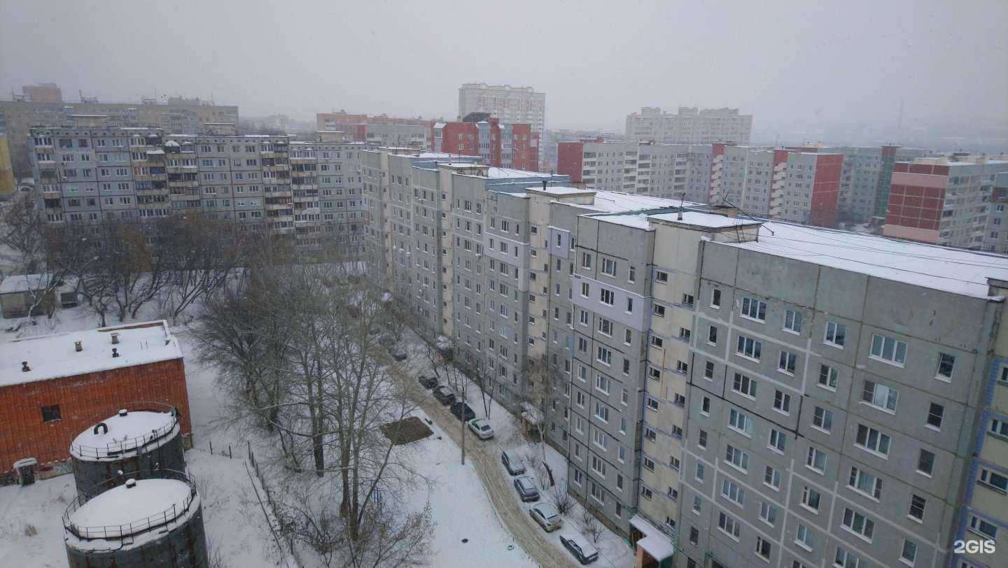 Отзывы на компанию 5 Хвостов в Туле c фото