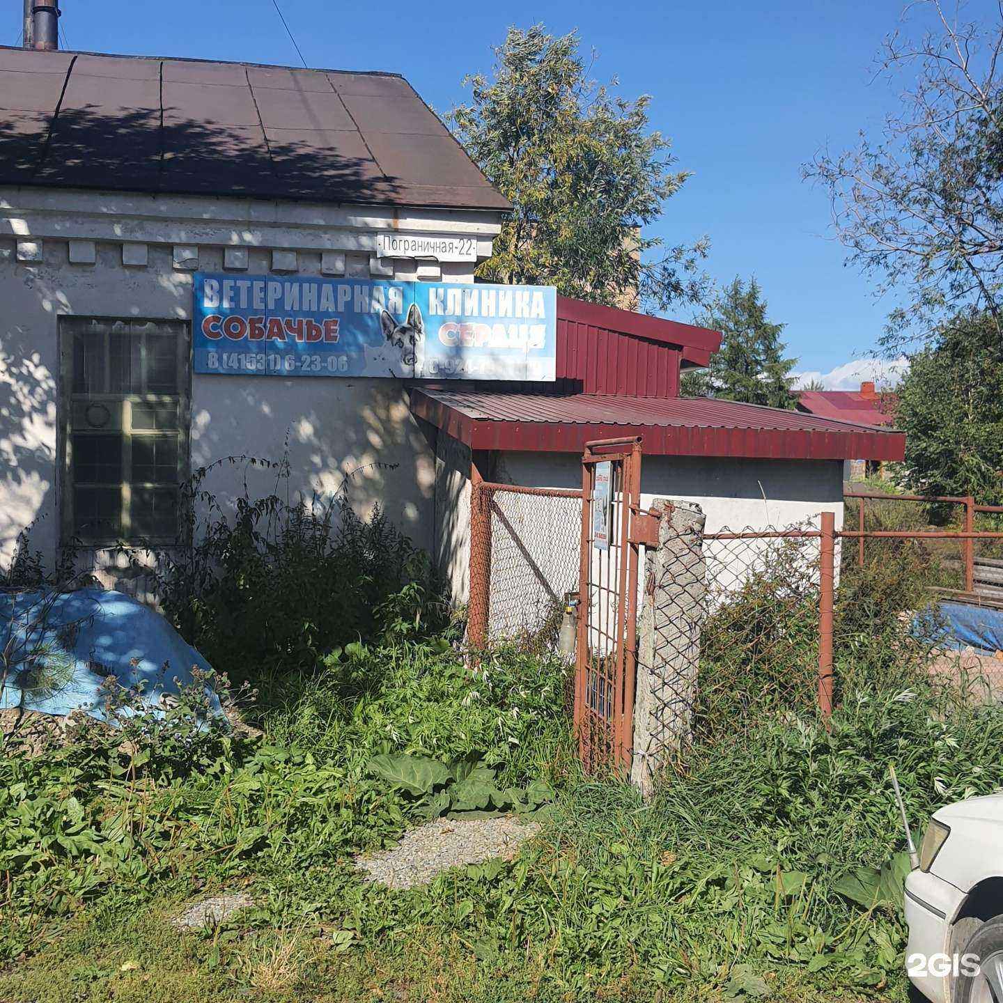 Отзывы на компанию Собачье сердце в Елизове c фото