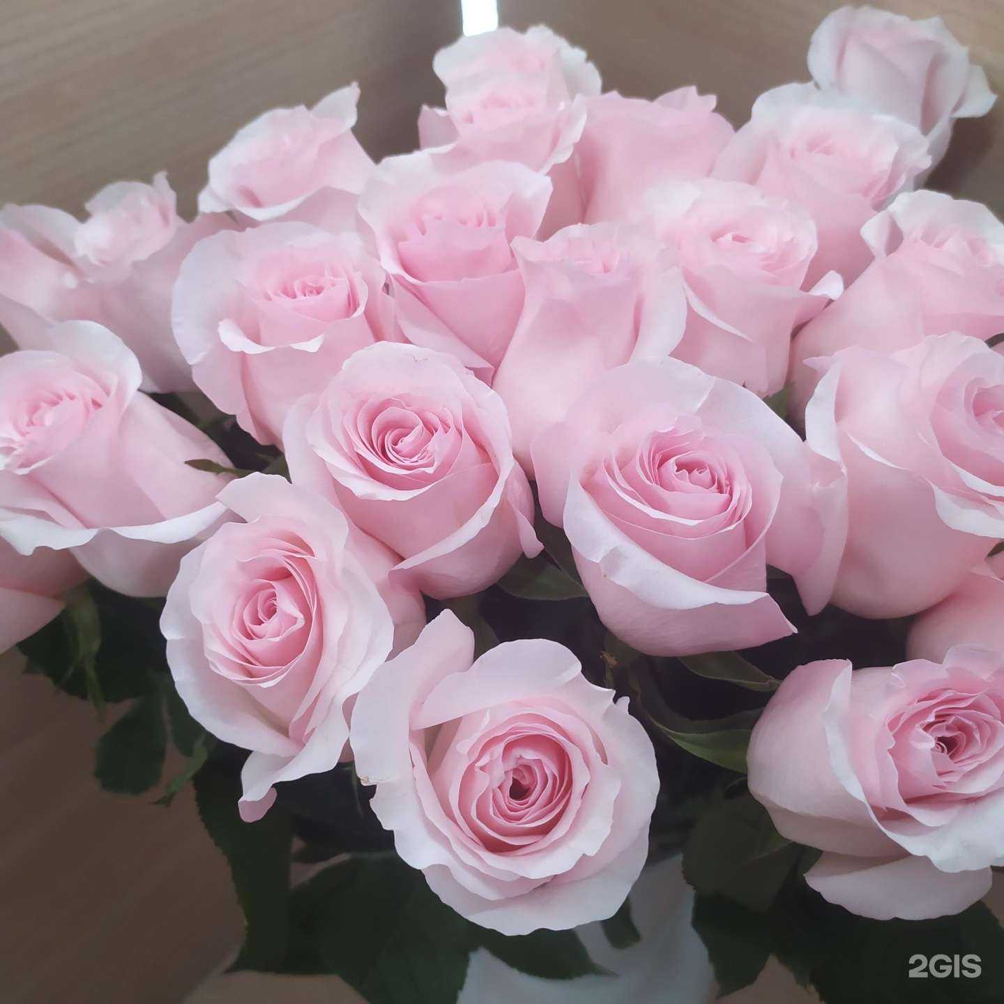 Отзывы на компанию Лилия Glamour-flowers в г. Челябинск c фото