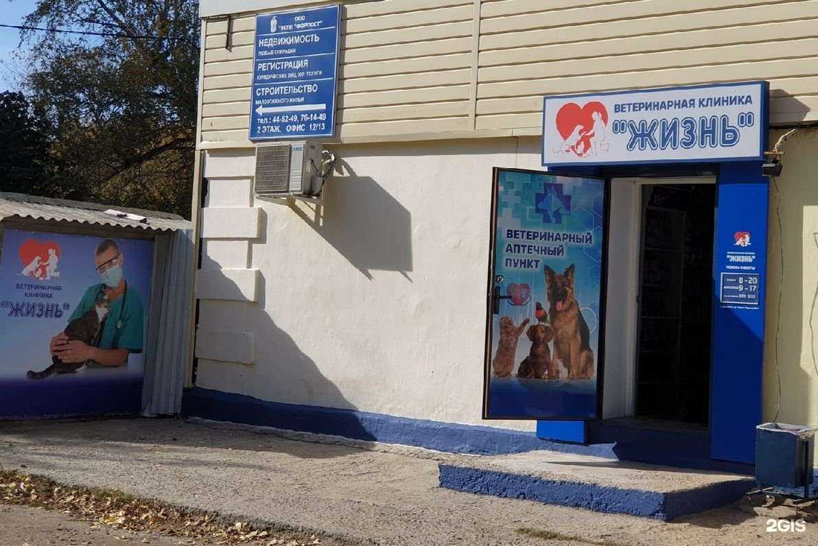 Отзывы на компанию Жизнь в Ульяновске c фото